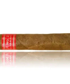 Serie P No. 2