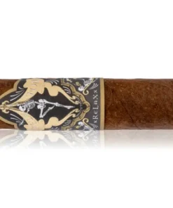 Xrelaxx Robusto