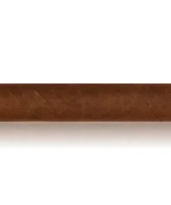 The Edge Nicaragua Toro
