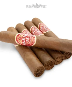 AJ Fernandez Blend 15 Zigarren Robusto