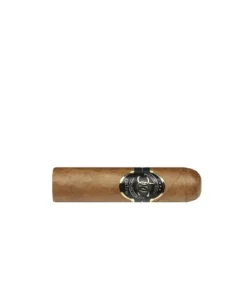 Culture Dominican Double Robusto Zigarren, 20er