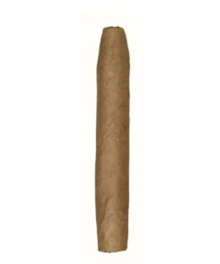 De Olifant Classic Matelieff, 20er