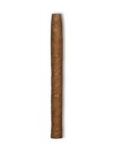 J. Cortes Dominican, 10er