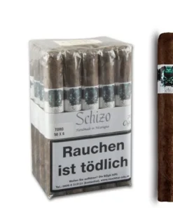 Schizo Toro, 20er