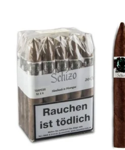 Schizo Torpedo, 20er