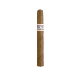 Buena Vista Dark Fired Kentucky Churchill, 4er