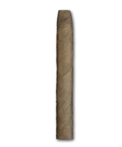 Woermann 5th Generation Coronita Brasil, 50er