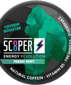 Scooper Energy Fresh Mint