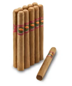 Ibis Dominican Long Filler »Churchills« 10er Bundle