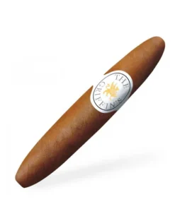 Griffin’s Perfecto 4er Schachtel