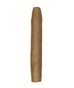De Olifant Classic Matelieff, 10er