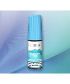 Flerbar – Blueberry Mint (Blaubeere, Minze) – Liquid – 20 mg/ml – 10 ml