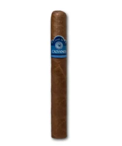 Perla de Calvano Toro, 10er
