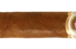 Bolivar Petit Coronas Zigarren