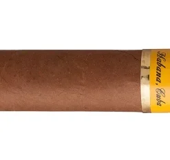 Cohiba Exquisitos Zigarren
