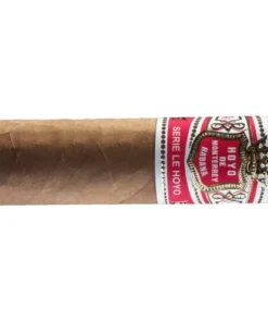Hoyo de Monterrey Le Hoyo de Rio Seco Zigarren