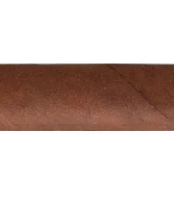Hoyo de Monterrey Le Hoyo du Maire Zigarren
