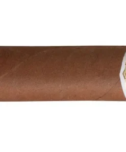 Hoyo de Monterrey Le Hoyo du Depute Zigarren