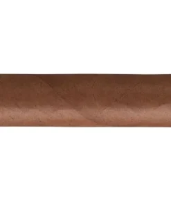 Partagas Lusitanias Zigarren