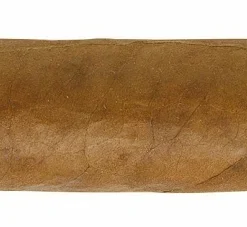 Partagas Serie D No.4 Zigarren