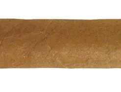 Quintero Brevas Zigarren