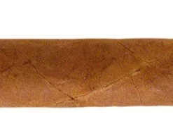 Rafael Gonzalez Panetelas Extra Zigarren