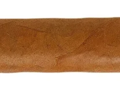 Rafael Gonzalez Petit Coronas Zigarren