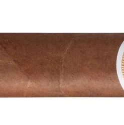 Romeo y Julieta Belicosos Zigarren