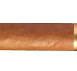 Romeo y Julieta Churchills Zigarren