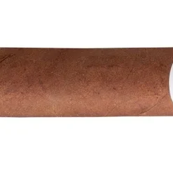 Romeo y Julieta Petit Julietas Zigarren