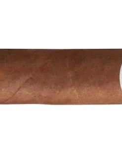 Romeo y Julieta Regalias Londres Zigarren