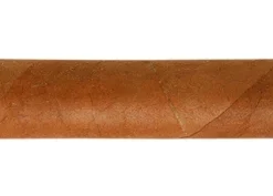 Trinidad Fundadores Zigarren