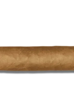 Ashton Classic Churchill Zigarren