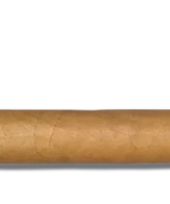 Santa Damiana Churchill Zigarren