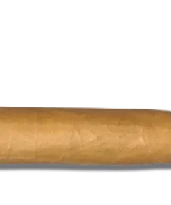 Santa Damiana Torpedo Zigarren
