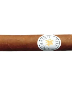 The Griffins Short Robusto Zigarren
