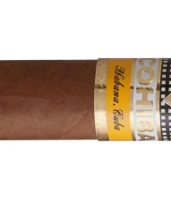 Cohiba Siglo I Zigarren