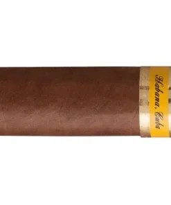Cohiba Siglo II Zigarren