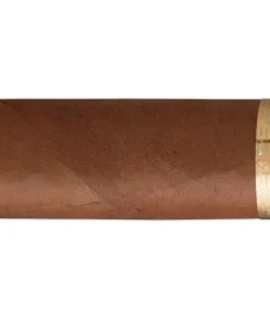 Cohiba Siglo IV Zigarren