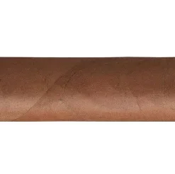 Cohiba Siglo V Zigarren