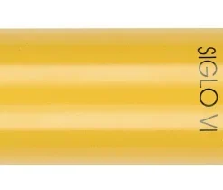 Cohiba Siglo VI Tube Zigarren
