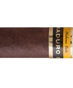 Cohiba Maduro 5 Secretos Zigarren