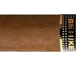 Cohiba Behike BHK 54 Zigarren