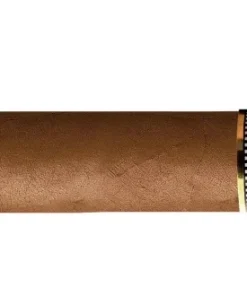 Cohiba Behike BHK 56 Zigarren