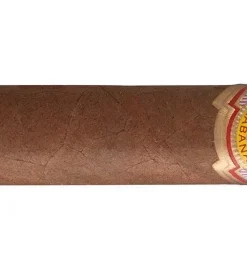 El Rey Del Mundo Demi Tasse Zigarren