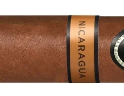Davidoff Nicaragua Robusto Zigarren