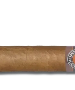Villa Zamorano Robusto Zigarren