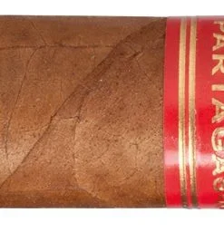 Partagas Serie D No.6 Zigarren