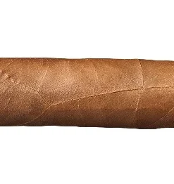 Buena Vista Araperique Petit Corona Zigarren