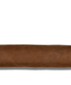 Rocky Patel The Edge Corojo Missile Zigarren